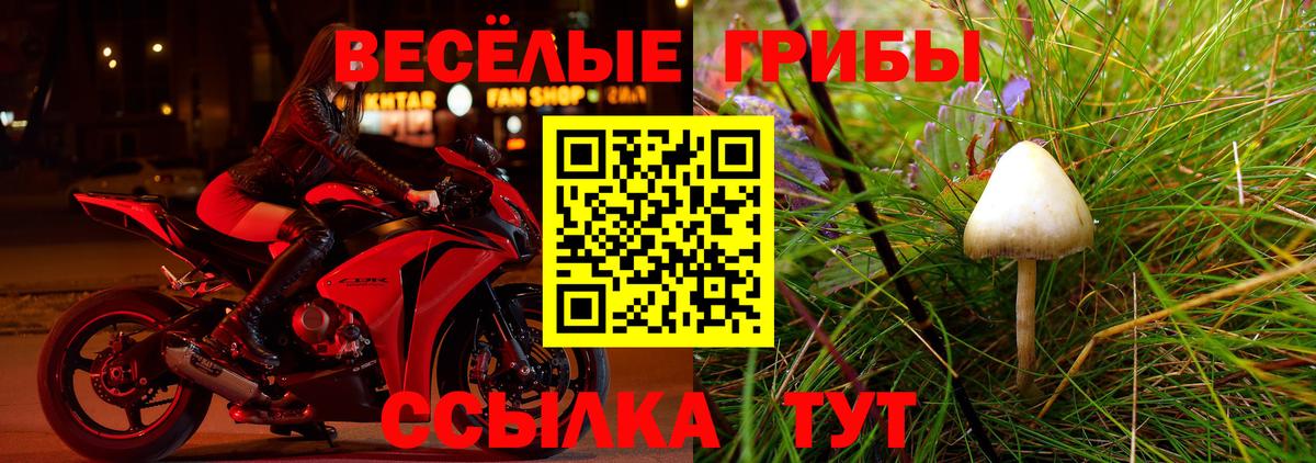 Псилоцибиновые грибы мухоморы Заводоуковск
