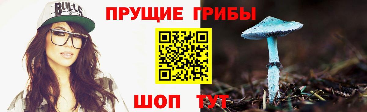 Псилоцибиновые грибы Cubensis  Вход с VPN  Заводоуковск 